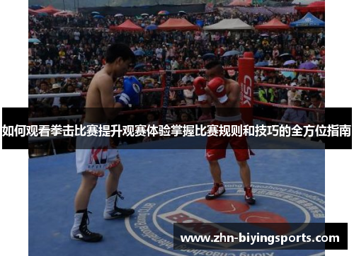 如何观看拳击比赛提升观赛体验掌握比赛规则和技巧的全方位指南