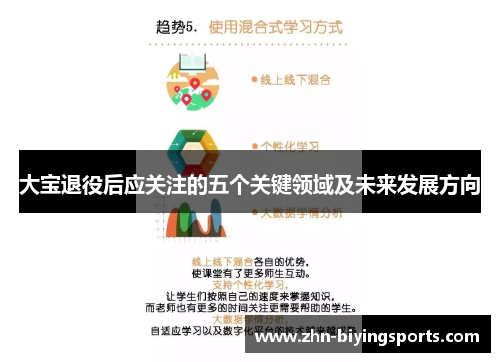 大宝退役后应关注的五个关键领域及未来发展方向