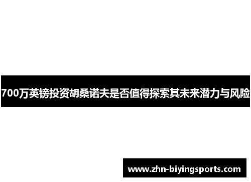 700万英镑投资胡桑诺夫是否值得探索其未来潜力与风险
