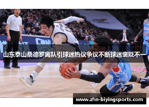 山东泰山桑德罗离队引球迷热议争议不断球迷褒贬不一