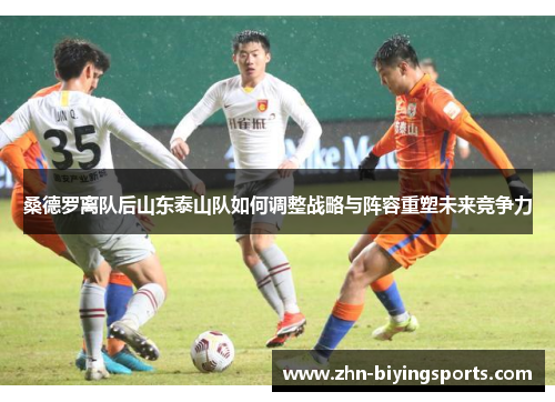 桑德罗离队后山东泰山队如何调整战略与阵容重塑未来竞争力