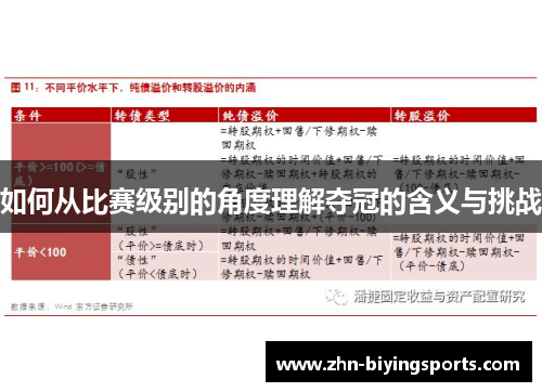 如何从比赛级别的角度理解夺冠的含义与挑战