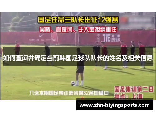 如何查询并确定当前韩国足球队队长的姓名及相关信息