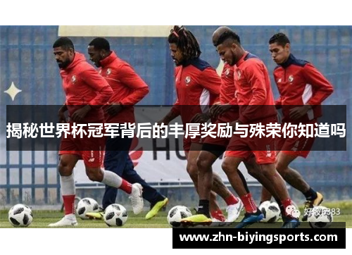 揭秘世界杯冠军背后的丰厚奖励与殊荣你知道吗