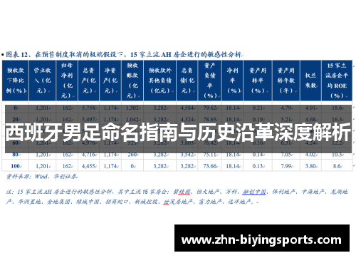 西班牙男足命名指南与历史沿革深度解析